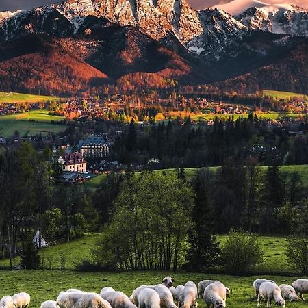 Villa Jumper Widok Na Cale Tatry Lazienka Nie Jest W Pokoju Zakopane Extérieur photo