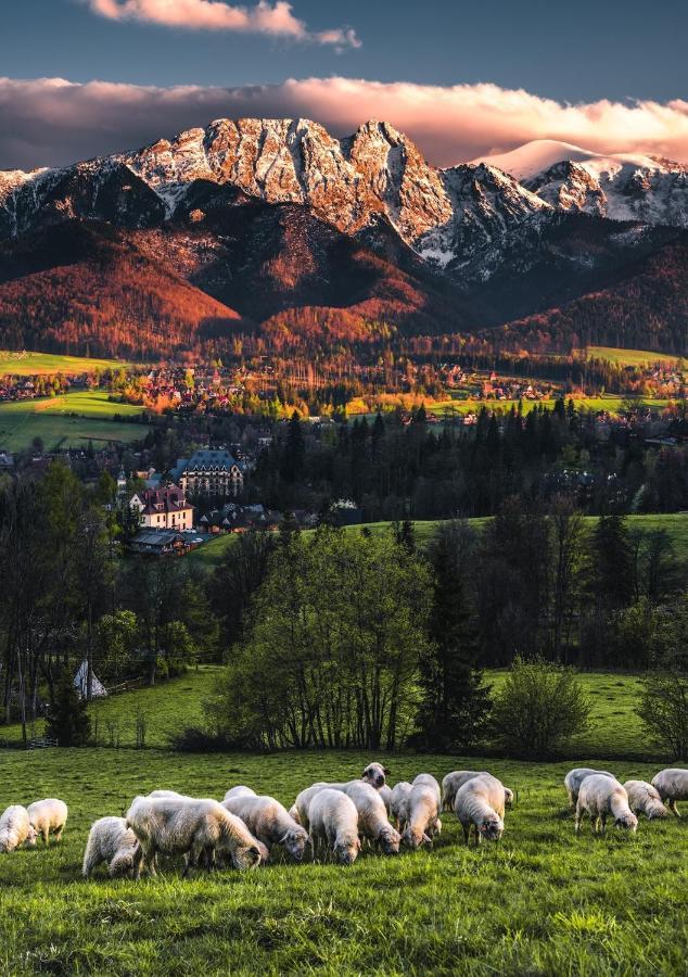 Villa Jumper Widok Na Cale Tatry Lazienka Nie Jest W Pokoju Zakopane Extérieur photo